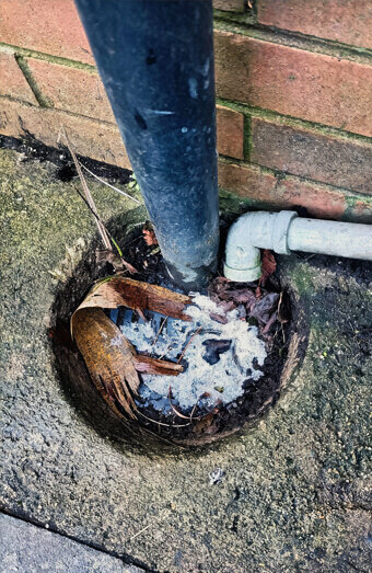 https://plumberwanneroo.com.au/uploads/2025/06/blocked-drains-294506.jpg