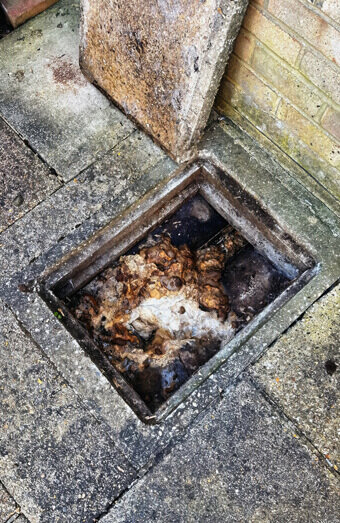 https://plumberwanneroo.com.au/uploads/2025/06/blocked-drains-465055.jpg